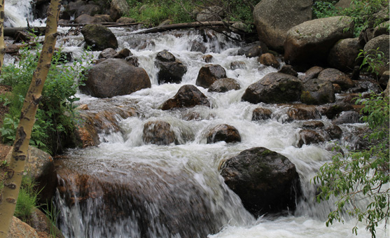 evergreen property managers