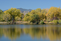 Wheat Ridge Property Management