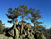 Evergreen Property Management